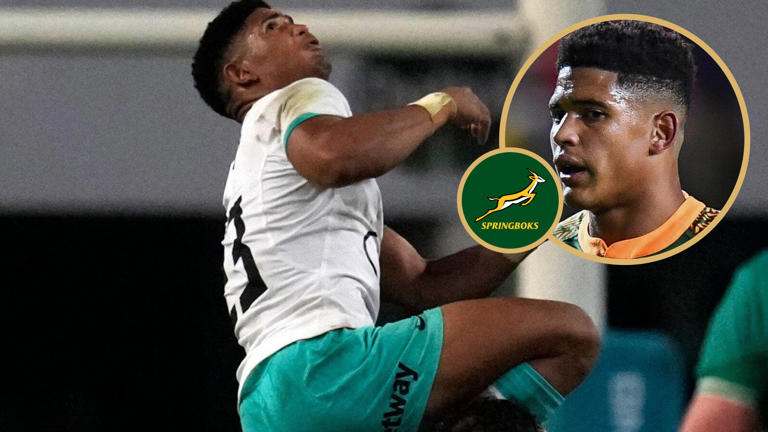 ‘They are a proper professional bunch’ – Springbok rookie’s frank assessment of Ireland