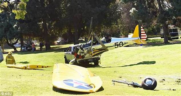 Plane narrowly misses golfer as pilot makes emergency landing at golf course