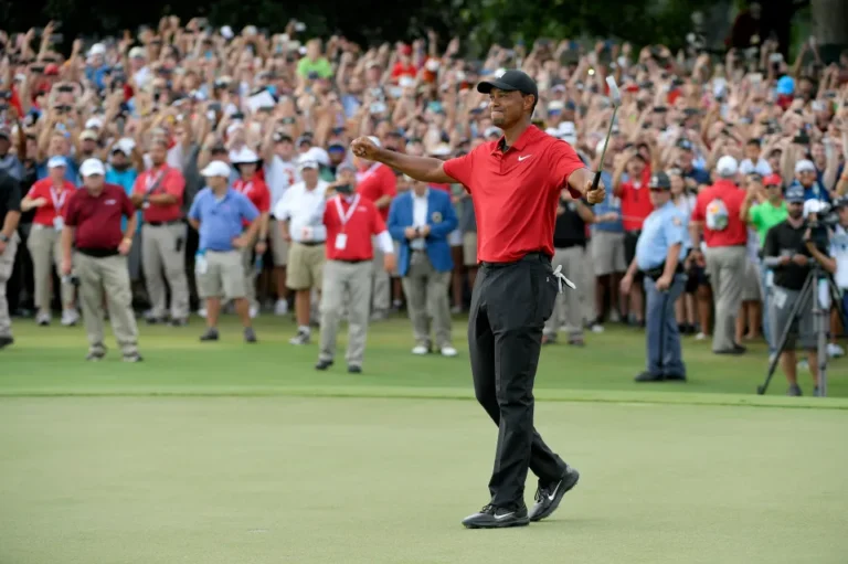 Rory McIlroy had stunned two-word reaction to iconic Tiger Woods moment at Tour Championship