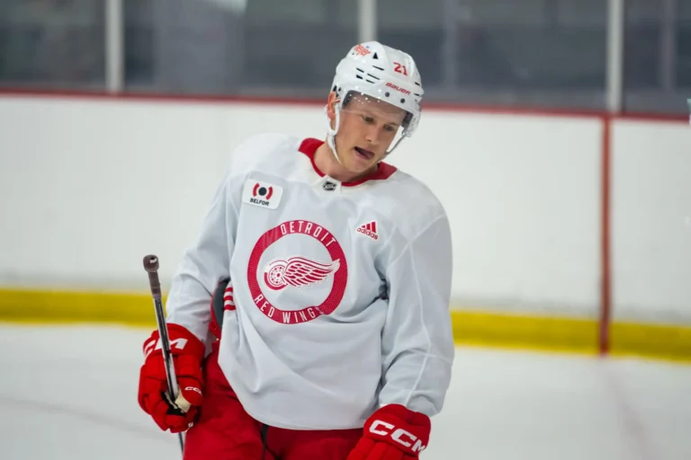 Seeing Joe Snively in Red Wings gear reminds us of his incredible journey from Capitals fan to player